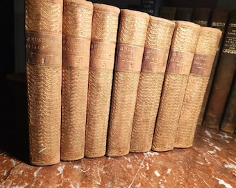Juego antiguo encuadernado en cuero - Amusemens de la Campagne (1749), 7 volúmenes de literatura francesa