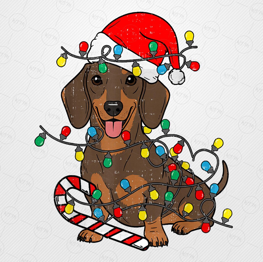Funny Dachshund Christmas PNG Bundle, Distressed Wiener Dog With Lights ...