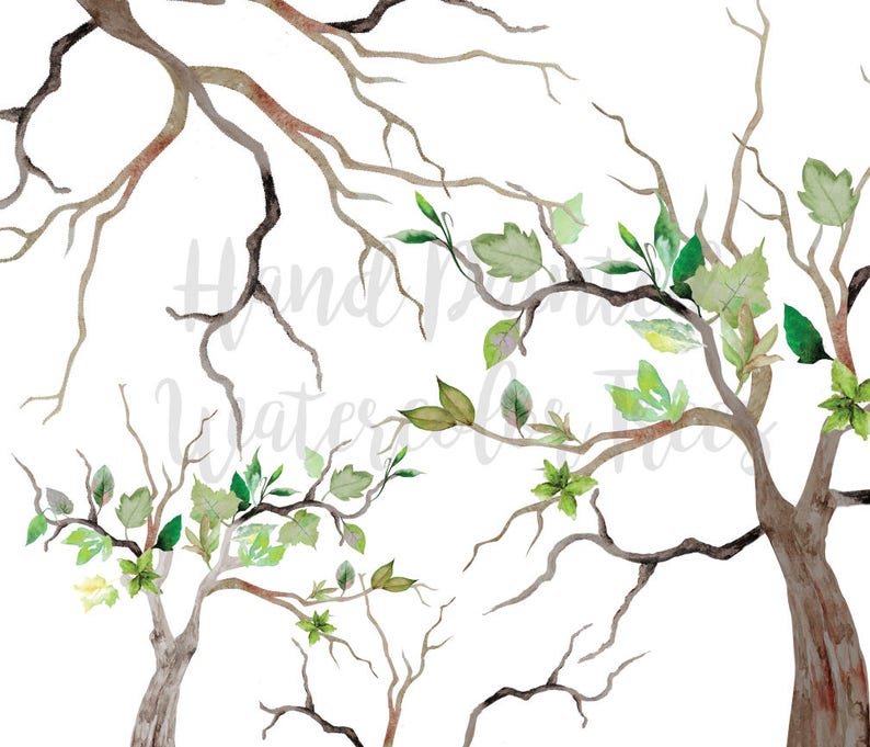 Watercolor Tree Clip Art High Resolution Graphic Greeting | Etsy