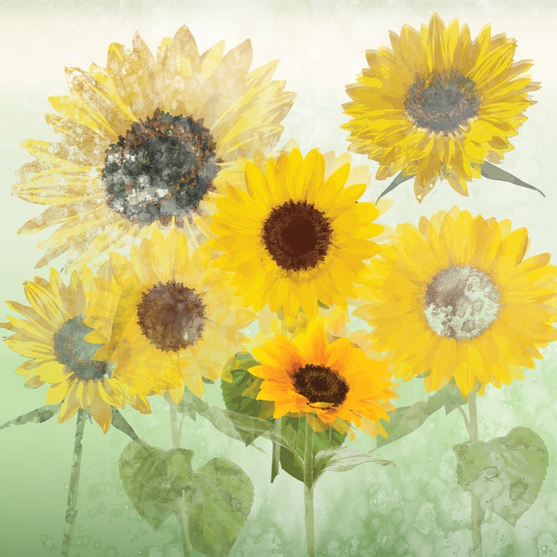 Watercolor Sunflowers Clip Art High Resolution Graphic | Etsy