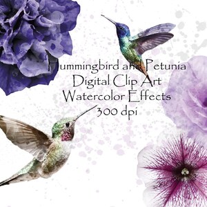 Digitale Aquarell Kolibri Clip Art hochauflösende Grafik Gruß Scrapbooking Lila Petunia Clip Art