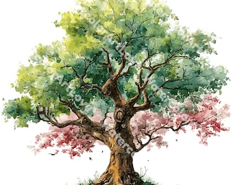 19 clipart di alberi colorati ad acquerello, download digitale, alberi ad acquerello (download digitale - PNG)