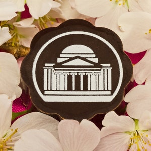Monumento ai ciliegi in fiore di Washington DC CIOCCOLATINI / DC Monument Cherry Blossom Festival Caramelle ricoperte di cioccolato gourmet