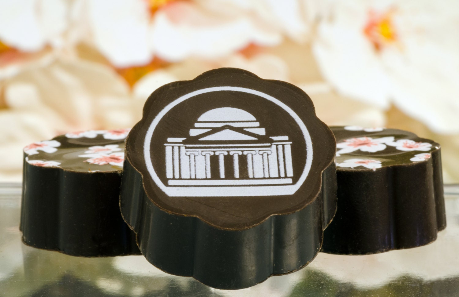 Washington DC Monument CHOCOLATES DC Monument Cherry Blossom Festival