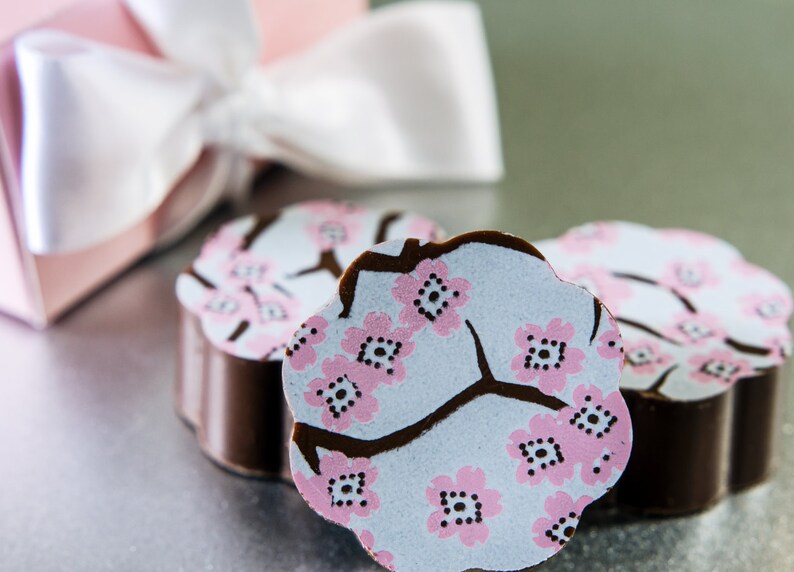 Washington DC Monument CHOCOLATES DC Monument Cherry Blossom Festival