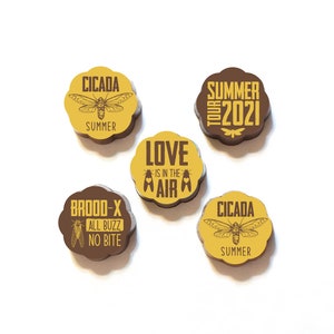 CICADA CHOCOLATES | Brood X 2021 Cicada Summer Bug Chocolate Covered Caramels