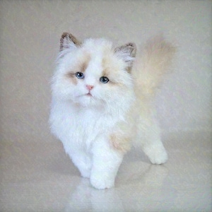 Kitten toy. Handmade collectible realistic toy