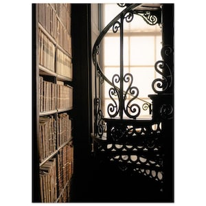 May include: Interior of a library with a spiral staircase with decorative wrought iron. Bookshelves are filled with old books. The window provides a bright backdrop, contrasting with the dark, shadowed interior.