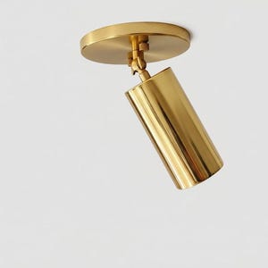 Foco cilíndrico de latón ajustable / Lámpara de techo minimalista moderna