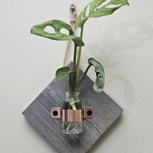 Wall Hanging Propagation Station