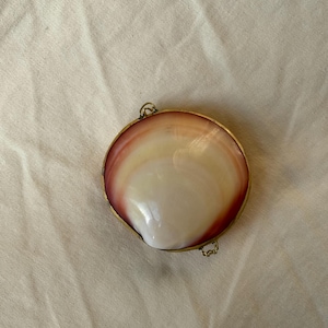 Peut inclure: Une boîte ronde à charnière en forme de coquillage avec un bord en métal doré. La coquille est de couleur blanc crème avec une bordure brun rougeâtre. La boîte est fermée et possède un petit fermoir en métal.