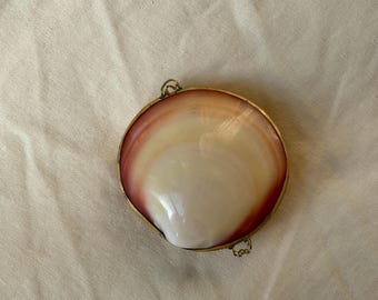 Vintage Shell Purse: Iridescent Natural Shells