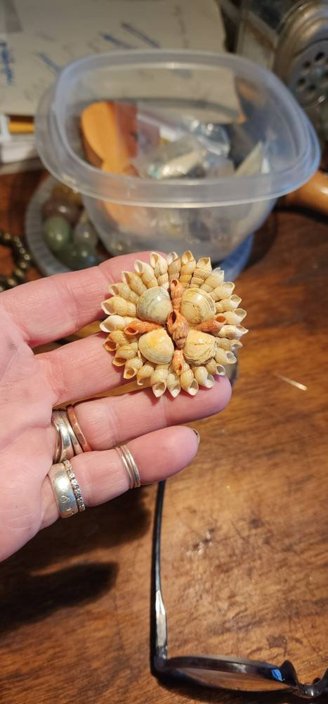 Simple Sea Shell Brooch - Etsy