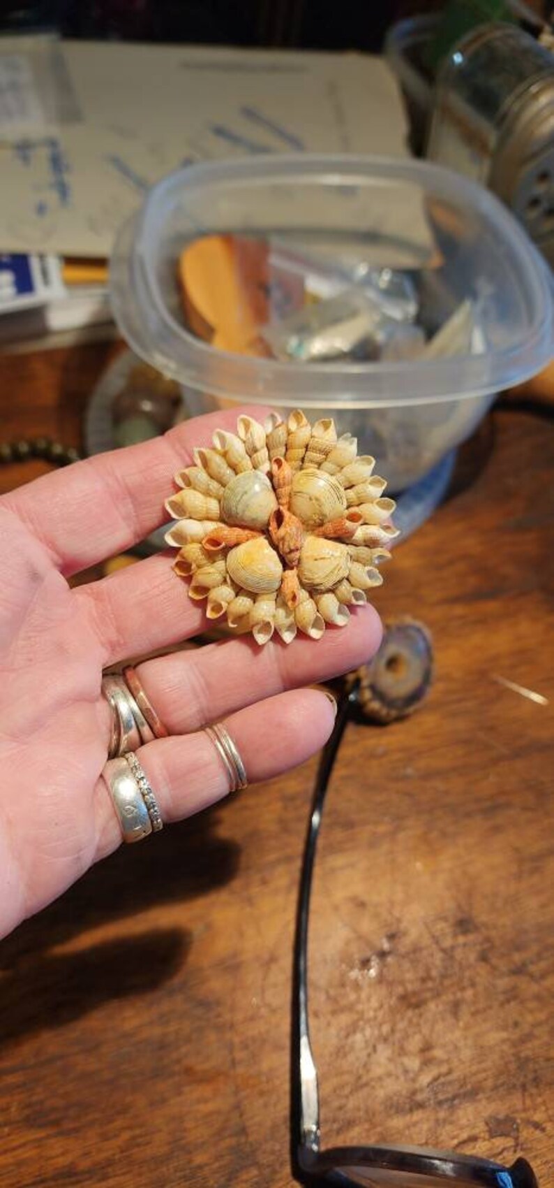 Simple Sea Shell Brooch - Etsy