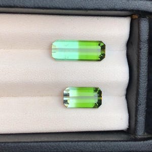 Bicolor Tourmaline Gemstone Lot: Faceted, VVS, Afghanistan Mined, 6.50 Carats