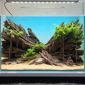 Aquarium driftwood aquascape bonsai aquascaping drift wood aquarium landscape fish tank decoration