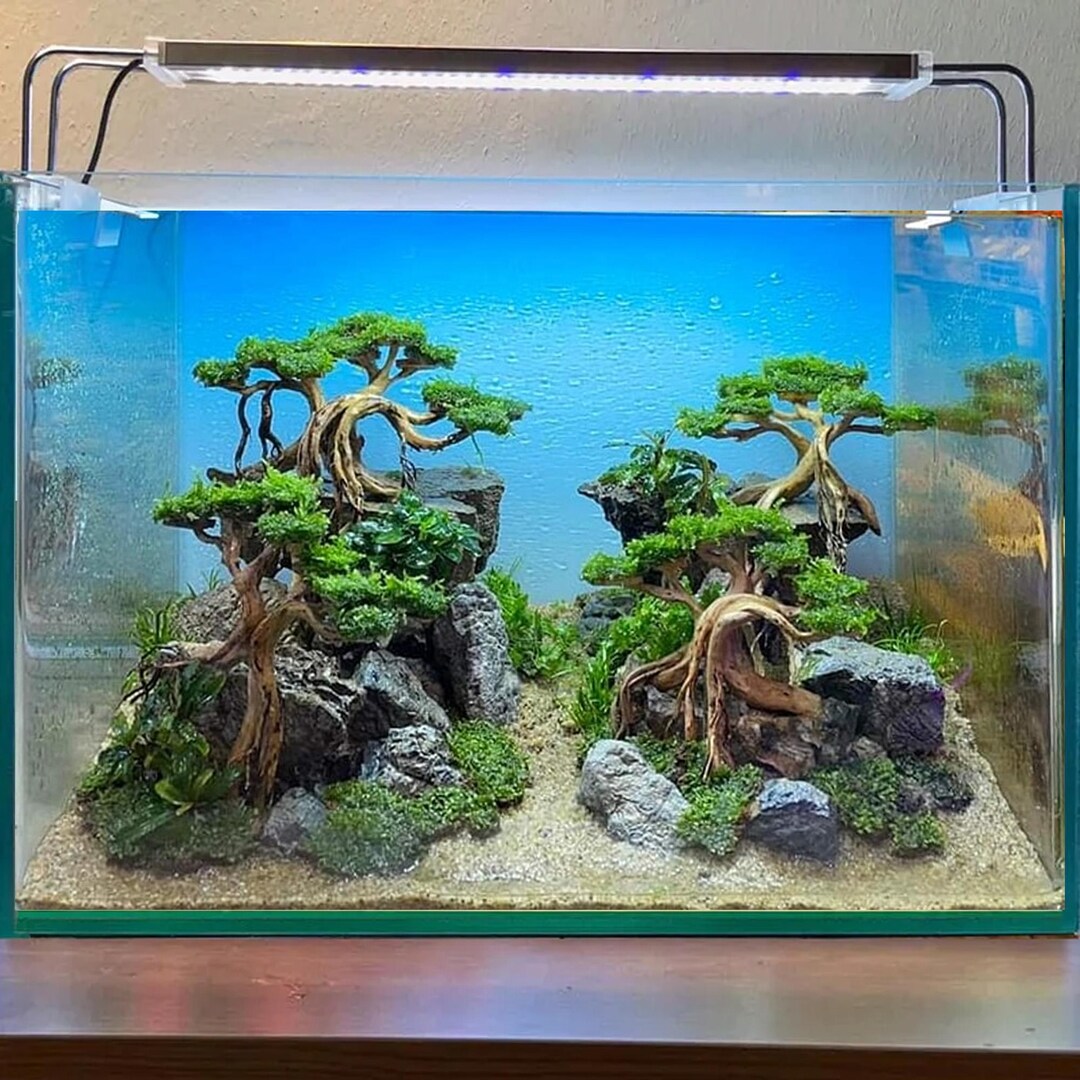 Bonsai Driftwood Aquarium Tree Decorations Drift Wood Aquarium Rocks ...