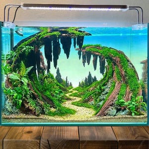 Aquarium driftwood aquascape bonsai drift wood fish tank decoration aquarium driftwood large