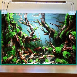 Aquarium aquascape driftwood stone aquascaping bonsai landscape cave handcrafted for fish tank decorations
