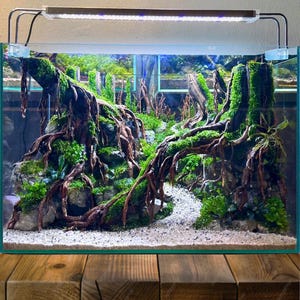 Aquarium driftwood aquascape bonsai hardscape wood plants fish tank decorations free shipping
