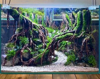 水槽用流木 アクアスケープ 水槽 流木 切り株 木 盆栽 アクアスケープ 装飾