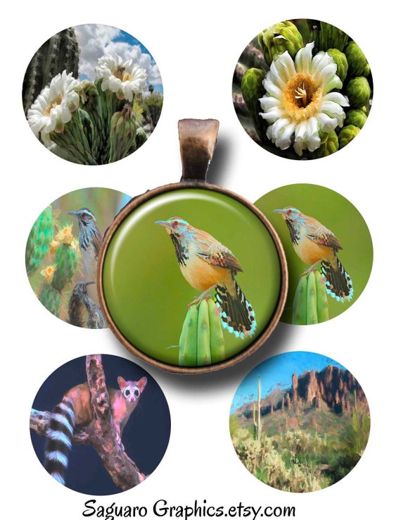 Instant Download,Saguaro Graphics circle 1.5,1.0 inch,Collage Sheets,Sticker Art,Jewelry Makers Fruit Paintings Art Instant Download,Saguaro Graphics circle 1.5,1.0 inch,Collage Sheets,Sticker Art,Jewelry Makers Fruit Paintings Art
