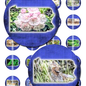 Pennsylvania US State Map Art Kreise 1,5 & 1,0 Zoll, sofortige digitale Karte Art Downloads, druckbare Kunst von Saguaro Grafiken