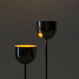 May include: Two floor lamps with tall, thin black stems and rounded, bowl-shaped heads. The exterior of the lamp heads is a reflective, dark metallic finish, while the interior glows with a warm, bright yellow light, creating a contrast.