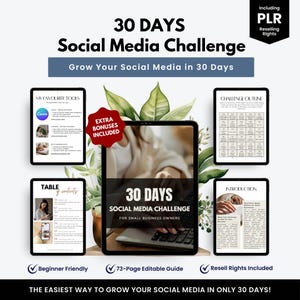 Puede incluir: Una guía de marketing digital titulada "30 Days Social Media Challenge" para propietarios de pequeñas empresas. La imagen incluye una tableta con el título, además de otras tabletas que muestran herramientas, una tabla de contenido y un esquema del desafío. Incluye derechos de reventa.