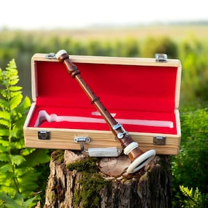 Puede incluir: Un instrumento musical de madera marrón con detalles blancos y herrajes plateados descansa en un estuche de madera abierto forrado con tela roja. El estuche está sobre un tocón de árbol, con un fondo verde borroso.