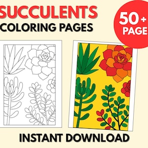 Succulent Coloring Page, Botanical Coloring Page, Plant Coloring Sheet, Printable Plant Coloring, Digital Coloring Pages Succulents