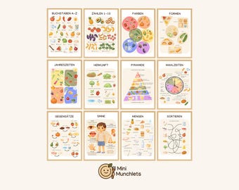 Learning Poster Set | Numbers, Letters, Colors, Shapes, Seasons, Origin, Food Pyramid, Meals, Opposites, Senses, Quantities, Sorting (PDF)