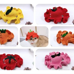 Crochet Cat Hat PDF Pattern, Amigurumi Fruit & Vegetable Hats for Pets, Funny Cosplay Costume Crochet Tutorial