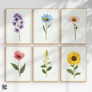 Vintage Summer Botanical Prints Set | Papaver, Daisy, Blue Wildflower & Cream Blossom Wall Art | Antique French Flower Illustrations