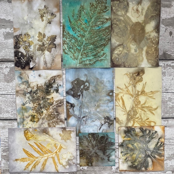 Craft paper packs ~ ecoprinted dyed paper for scrapbooking or journal making, botanical prints, 10 eco prints, eco paper bundle, card making
