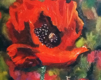 Red Poppy - Oil Painting Fine Art - small