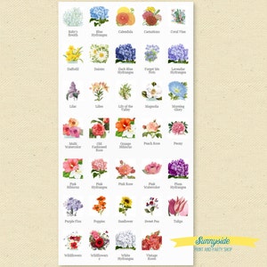 May include: A chart of 36 different flower illustrations, each with its common name printed below. The flowers are arranged in rows of six, with a variety of colors and styles.