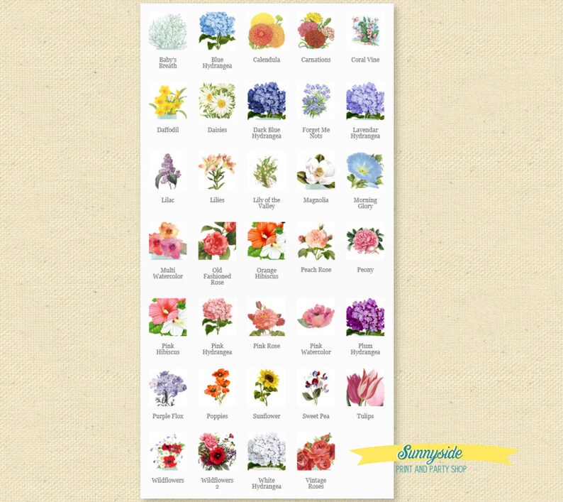 May include: A chart of 36 different flower illustrations, each with its common name printed below. The flowers are arranged in rows of six, with a variety of colors and styles.