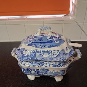 spode blue Italian soup/stew dish with ladle.