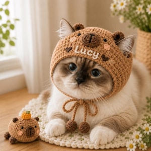 Personalized Crochet Cat Hat, Custom Pet Hat, Handmade Cat Accessory, Cute Pet Costume, Gift for Cat Lover, Custom Name Pet Gift 3