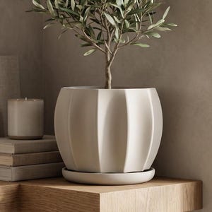 Pectus Ribbed Indoor Planter with Drainage Tray | Geometric Plant Pot | Contemporary Houseplant | Modern Succulent | Minimalist Decor
