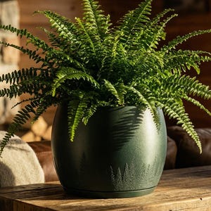 May include: A lush green fern plant in a dark green, round ceramic pot with a forest design. The plant sits on a rustic wooden table in a cozy, well-lit room. The fern's fronds are vibrant and full.