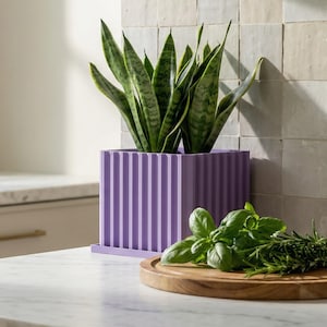 May include: A purple, ribbed planter box holding a snake plant. A wooden cutting board with fresh herbs sits on a marble countertop. A lavender bowl is visible in the background.