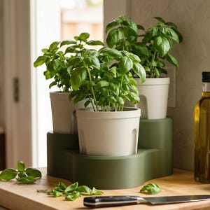 May include: A tiered olive green plant stand holding three white pots with green basil plants, positioned on a wooden cutting board alongside a glass bottle of olive oil, a small white ceramic bowl, and a stainless steel kitchen knife.