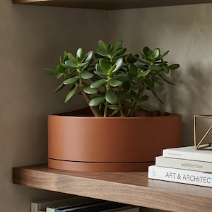 May include: A terracotta-colored planter with a jade plant sits on a wooden shelf. The plant has vibrant green leaves. Other items on the shelf include books, a gold geometric sculpture, and a ceramic mug. The shelf is part of a built-in bookcase.