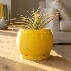 May include: A white ceramic mug with a black handle and the text "But First, Coffee" in a black, bold font. The mug is sitting on a wooden surface. The mug is approximately 4 inches tall.