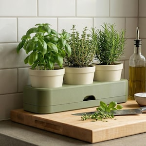 Self Watering Herb Tray with Drawer| 3 Pot Indoor Planter Holder for Kitchen Counter Garden | Starter Plant Propagation Station