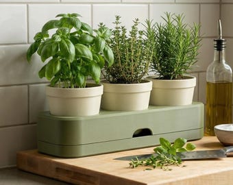 Self Watering Herb Tray with Drawer| 3 Pot Indoor Planter Holder for Kitchen Counter Garden | Starter Plant Propagation Station