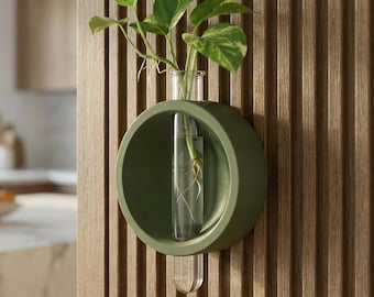 Estación de propagación de plantas de pared con tubos de acrílico transparente / Propagador de corte de un solo tubo / Colgador magnético minimalista moderno para plantas