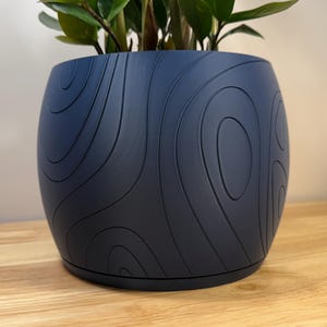 May include: A navy blue, round plant pot with a textured, concentric circle design. The pot sits on a wooden surface and holds a green plant with dark green leaves. The pot has a matching navy blue saucer.